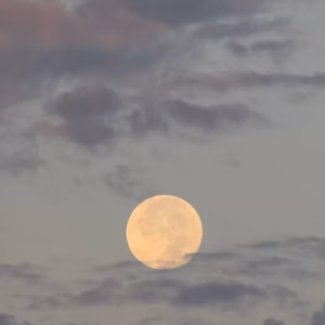 ACOMPAÑAMIENTO LUNAR